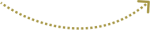 Vector 38 arrow down circle